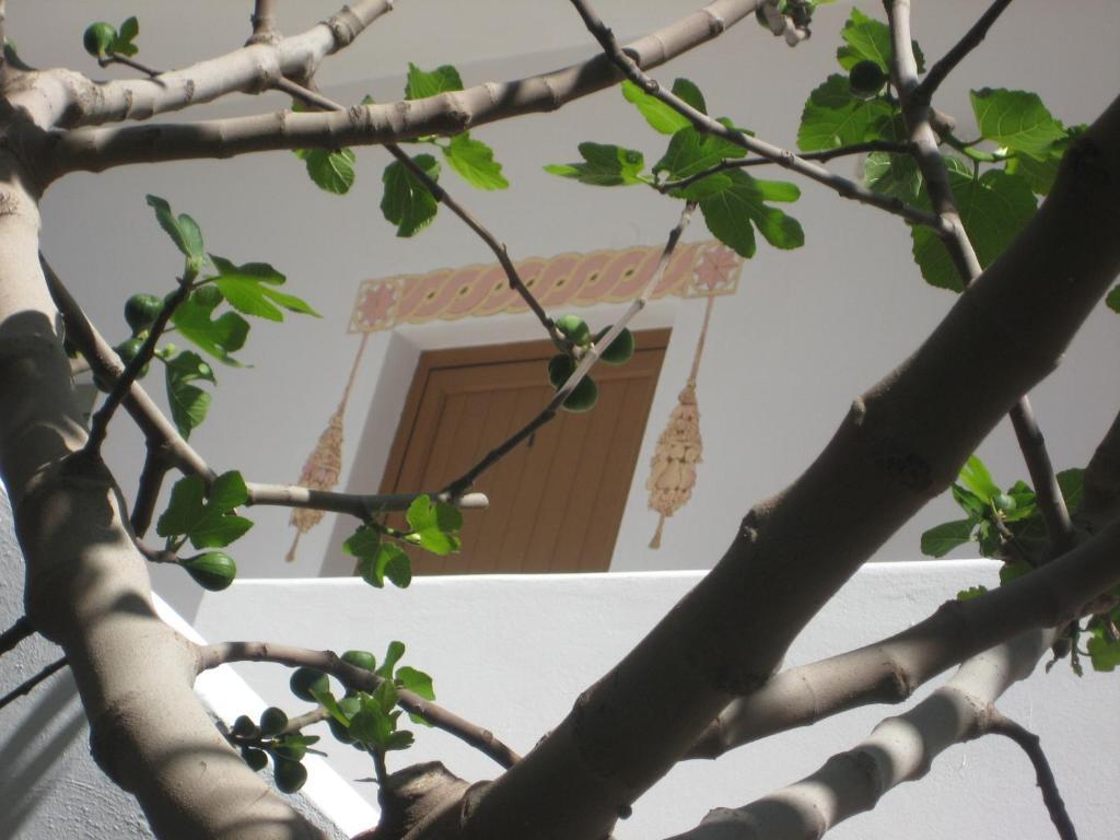 Rozmari And 公寓 Agia Galini